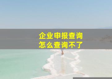 企业申报查询怎么查询不了