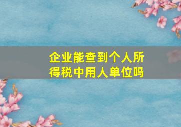 企业能查到个人所得税中用人单位吗