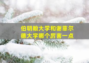 伯明翰大学和谢菲尔德大学哪个厉害一点