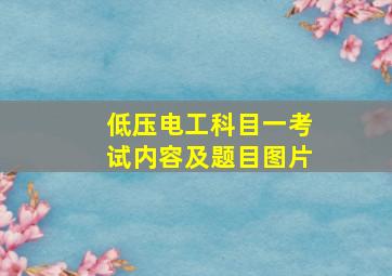 低压电工科目一考试内容及题目图片