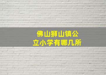 佛山狮山镇公立小学有哪几所