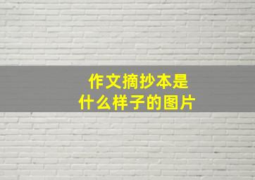 作文摘抄本是什么样子的图片