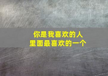 你是我喜欢的人里面最喜欢的一个