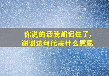 你说的话我都记住了,谢谢这句代表什么意思