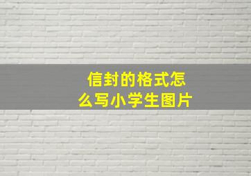 信封的格式怎么写小学生图片