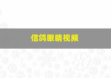 信鸽眼睛视频