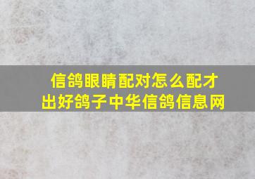 信鸽眼睛配对怎么配才出好鸽子中华信鸽信息网