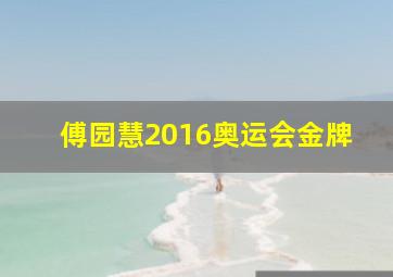 傅园慧2016奥运会金牌