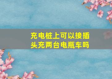 充电桩上可以接插头充两台电瓶车吗