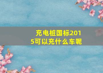 充电桩国标2015可以充什么车呢