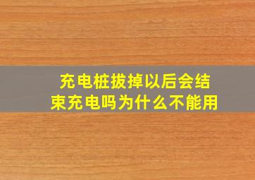 充电桩拔掉以后会结束充电吗为什么不能用