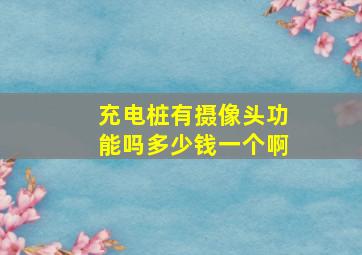 充电桩有摄像头功能吗多少钱一个啊