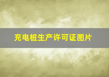 充电桩生产许可证图片