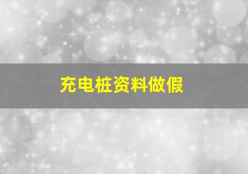 充电桩资料做假