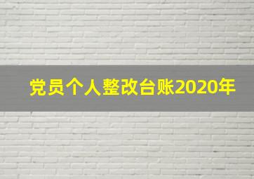 党员个人整改台账2020年