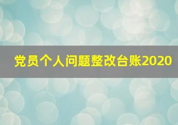 党员个人问题整改台账2020