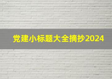 党建小标题大全摘抄2024