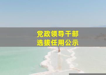 党政领导干部选拔任用公示