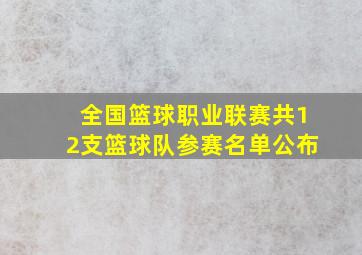 全国篮球职业联赛共12支篮球队参赛名单公布