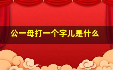 公一母打一个字儿是什么