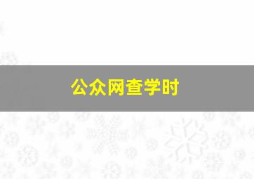 公众网查学时