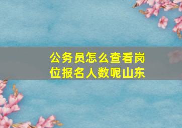 公务员怎么查看岗位报名人数呢山东