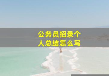 公务员招录个人总结怎么写