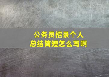 公务员招录个人总结简短怎么写啊