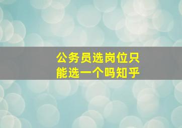 公务员选岗位只能选一个吗知乎