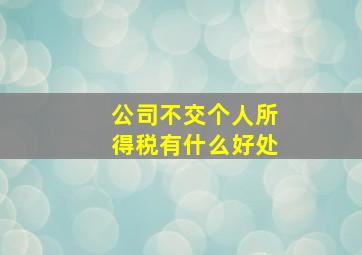 公司不交个人所得税有什么好处