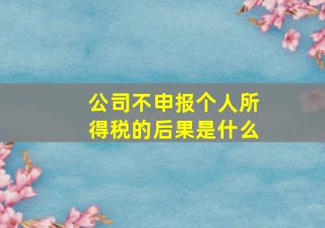 公司不申报个人所得税的后果是什么