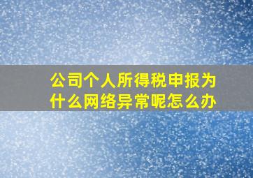 公司个人所得税申报为什么网络异常呢怎么办