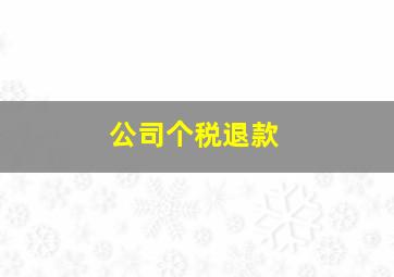 公司个税退款