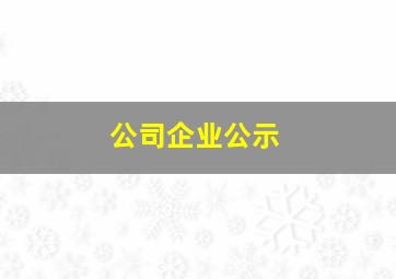 公司企业公示