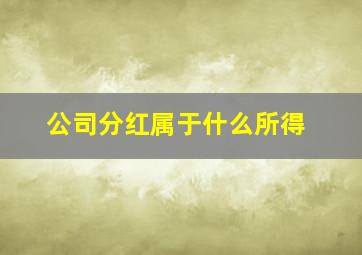 公司分红属于什么所得