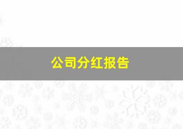 公司分红报告