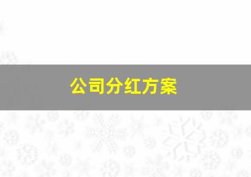 公司分红方案