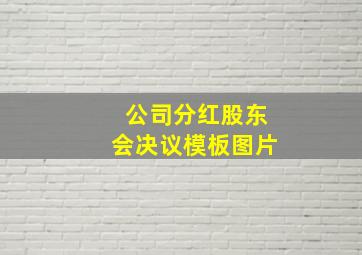 公司分红股东会决议模板图片