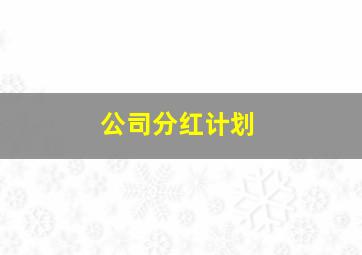 公司分红计划