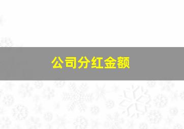 公司分红金额