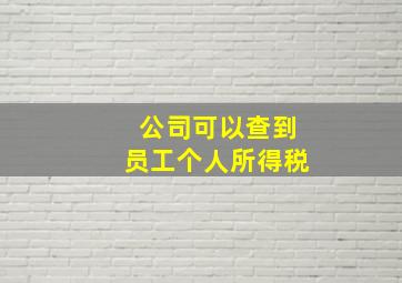 公司可以查到员工个人所得税