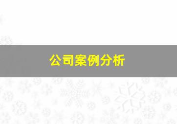 公司案例分析