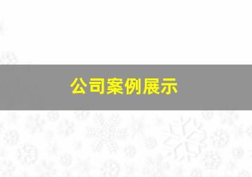 公司案例展示