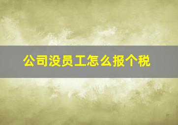 公司没员工怎么报个税