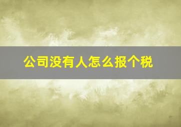 公司没有人怎么报个税