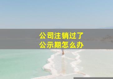 公司注销过了公示期怎么办