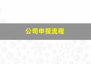 公司申报流程