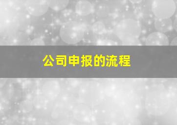 公司申报的流程