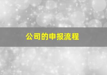 公司的申报流程