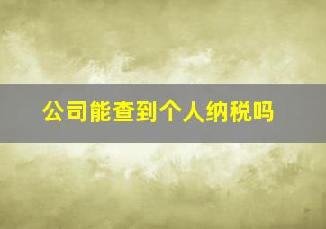 公司能查到个人纳税吗